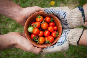 Read more about the article Department of Agriculture Launches AgriStress Helpline